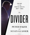 Cover of The Divider